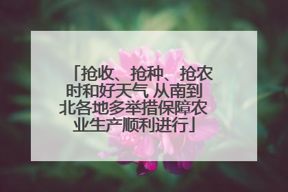 抢收、抢种、抢农时和好天气 从南到北各地多举措保障农业生产顺利进行