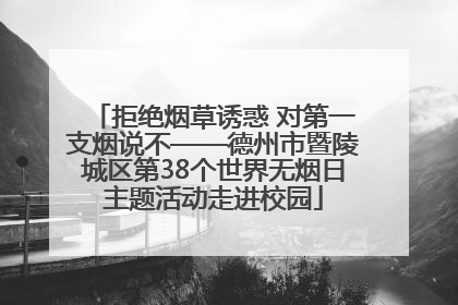 拒绝烟草诱惑 对第一支烟说不——德州市暨陵城区第38个世界无烟日主题活动走进校园