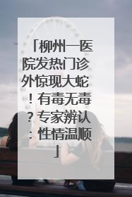 柳州一医院发热门诊外惊现大蛇！有毒无毒？专家辨认：性情温顺