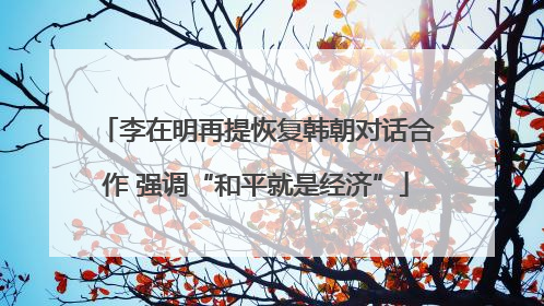 李在明再提恢复韩朝对话合作 强调“和平就是经济”