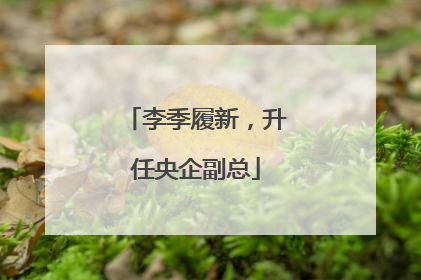李季履新，升任央企副总