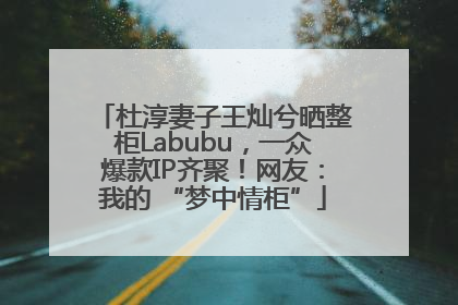 杜淳妻子王灿兮晒整柜Labubu，一众爆款IP齐聚！网友：我的 “梦中情柜”