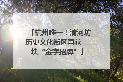 杭州唯一！清河坊历史文化街区再获一块“金字招牌”