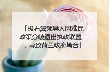 极右翼领导人因难民政策分歧退出执政联盟，导致荷兰政府垮台