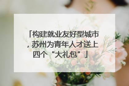 构建就业友好型城市，苏州为青年人才送上四个“大礼包”