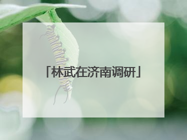 林武在济南调研