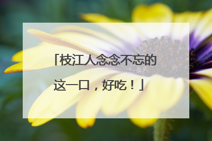 枝江人念念不忘的这一口，好吃！