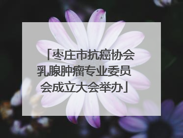 枣庄市抗癌协会乳腺肿瘤专业委员会成立大会举办