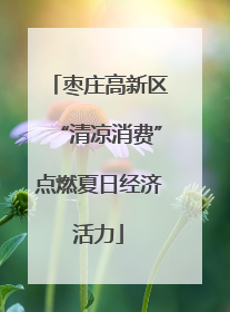 枣庄高新区“清凉消费”点燃夏日经济活力