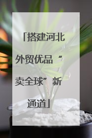 搭建河北外贸优品“卖全球”新通道