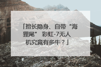 擅长隐身、自带“海狸尾” 彩虹-7无人机究竟有多牛？