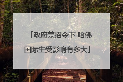 政府禁招令下 哈佛国际生受影响有多大
