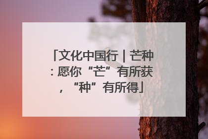 文化中国行｜芒种：愿你“芒”有所获，“种”有所得
