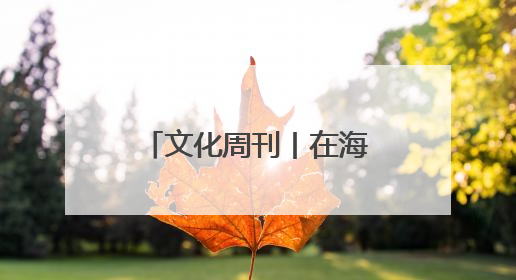 文化周刊丨在海口潭丰洋省级湿地公园打卡夏日里的“湿”情画意