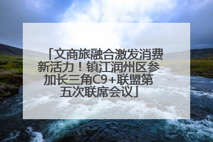 文商旅融合激发消费新活力！镇江润州区参加长三角C9+联盟第五次联席会议