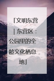 文明东营｜东营区：公园里的全龄文化栖息地