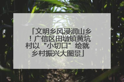 文明乡风浸润山乡！广信区田墩镇黄坑村以“小切口”绘就乡村振兴大图景