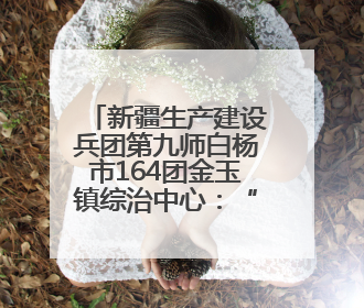 新疆生产建设兵团第九师白杨市164团金玉镇综治中心：“四维治理”淬炼边疆“枫桥样本”