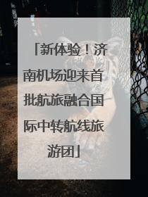 新体验！济南机场迎来首批航旅融合国际中转航线旅游团