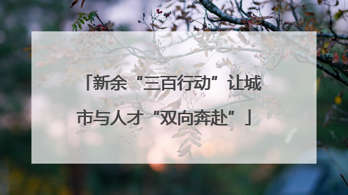 新余“三百行动”让城市与人才“双向奔赴”