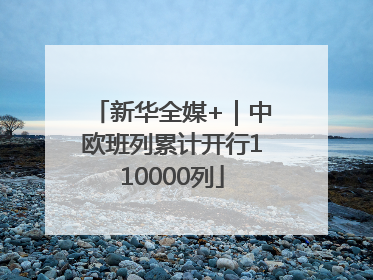新华全媒+｜中欧班列累计开行110000列