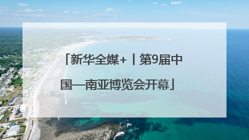 新华全媒+丨第9届中国—南亚博览会开幕