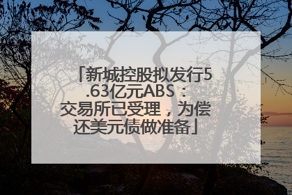 新城控股拟发行5.63亿元ABS：交易所已受理，为偿还美元债做准备