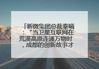 新微集团总裁秦曦：“当卫星互联网在荒漠高原连通万物时，成都的创新故事才真正开始”
