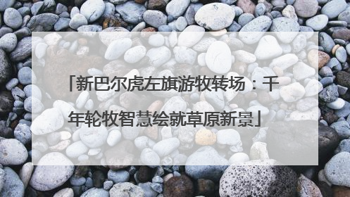 新巴尔虎左旗游牧转场：千年轮牧智慧绘就草原新景