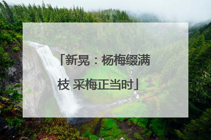 新晃：杨梅缀满枝 采梅正当时