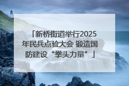 新桥街道举行2025年民兵点验大会 锻造国防建设“拳头力量”