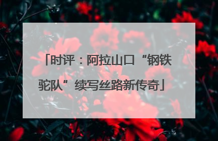 时评：阿拉山口“钢铁驼队”续写丝路新传奇