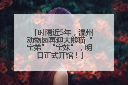 时隔近5年，温州动物园再迎大熊猫“宝弟”“宝妹”，明日正式开馆！