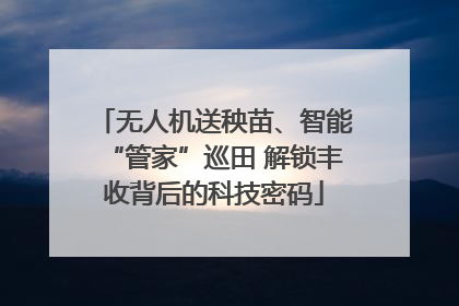 无人机送秧苗、智能“管家”巡田 解锁丰收背后的科技密码