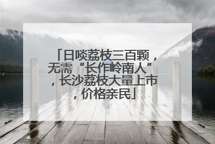 日啖荔枝三百颗，无需“长作岭南人”，长沙荔枝大量上市，价格亲民