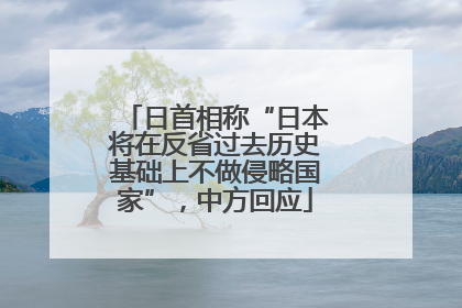日首相称“日本将在反省过去历史基础上不做侵略国家”，中方回应