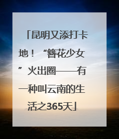 昆明又添打卡地！“簪花少女”火出圈——有一种叫云南的生活之365天