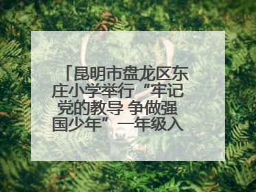 昆明市盘龙区东庄小学举行“牢记党的教导 争做强国少年”一年级入队仪式