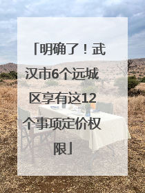 明确了！武汉市6个远城区享有这12个事项定价权限