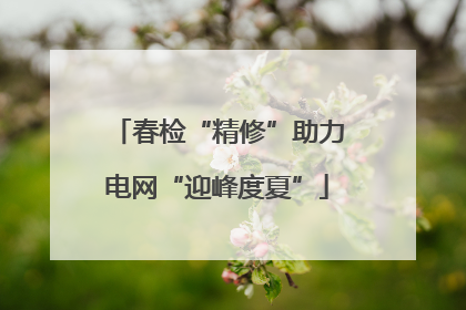 春检“精修”助力电网“迎峰度夏”