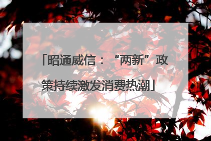 昭通威信：“两新”政策持续激发消费热潮