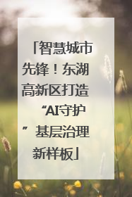智慧城市先锋！东湖高新区打造“AI守护”基层治理新样板