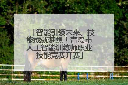 智能引领未来、技能成就梦想！青岛市人工智能训练师职业技能竞赛开赛