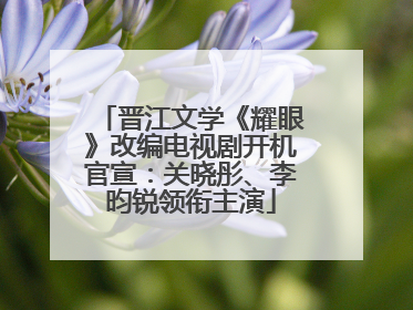 晋江文学《耀眼》改编电视剧开机官宣：关晓彤、李昀锐领衔主演