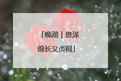 晚潮｜恩泽绵长义贞祠