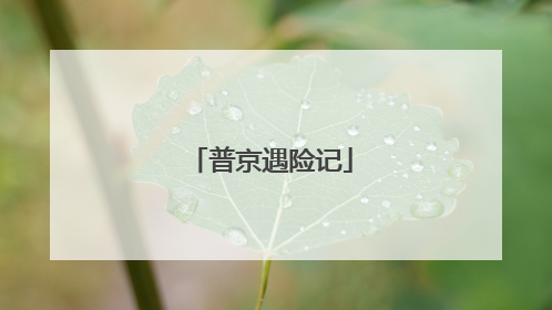 普京遇险记