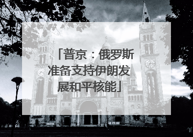 普京：俄罗斯准备支持伊朗发展和平核能