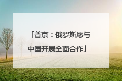 普京：俄罗斯愿与中国开展全面合作