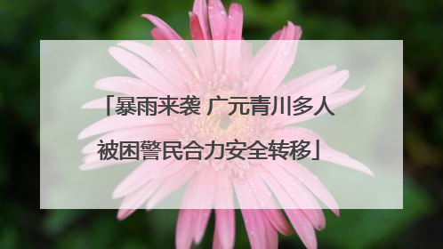 暴雨来袭 广元青川多人被困警民合力安全转移