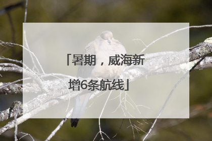 暑期，威海新增6条航线
